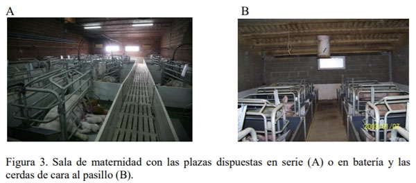 Instalaciones para porcinos - Image 3