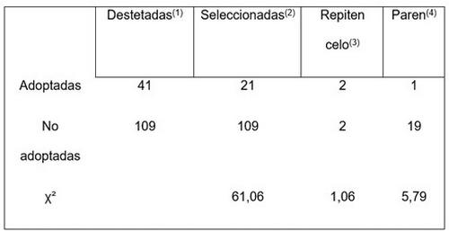 Crianza de futuras reproductoras porcinas: Impacto de las primeras semanas de vida - Image 2