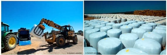 Microsilos la evolución del silo bolsa - Image 5
