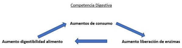 Salud intestinal: ¿Cómo preparo a los lechones en sus primeros días? - Image 2