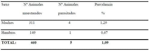Cysticercus Cellulosae en carne de cerdos, Técnicas para eliminarlo - Image 27