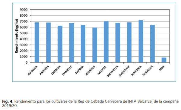 Red de evaluación de cultivares de cebada cervecera: resultados del ensayo comparativo de rendimiento de inta balcarce correspondientes a la campaña 2019/20 - Image 8
