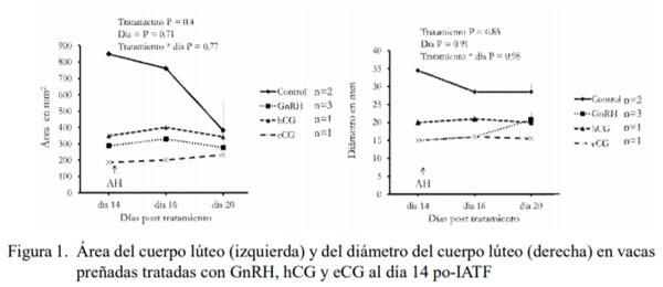 Tratamientos hormonales aplicados posterior a la IATF sobre la tasa de preñez y la viabilidad embrionaria en vacas de alta producción en estrés térmico - Image 2