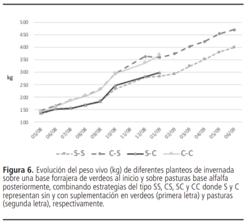 Planteos de invernada: puntos críticos para una recría bovina eficiente - Image 8