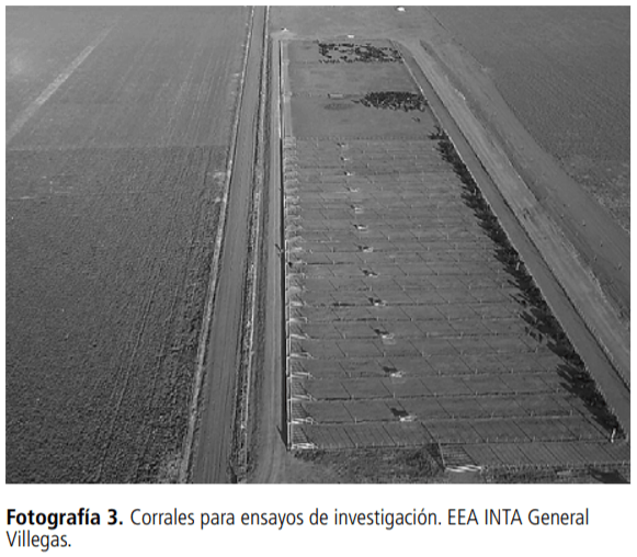 Recría de terneros a corral: ganancia de peso, peso de ingreso, manejo de la alimentación - Image 4