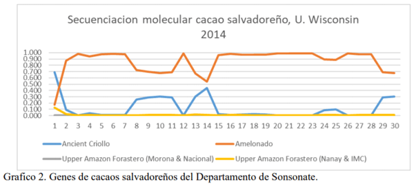 Caracterización molecular de materiales criollos de cacao en El Salvador - Image 3