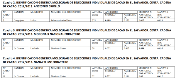 Caracterización molecular de materiales criollos de cacao en El Salvador - Image 14