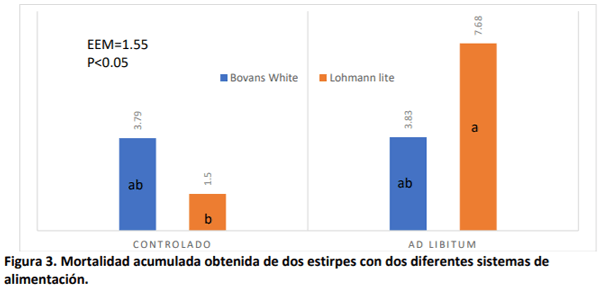 Respuesta productiva y económica de dos estirpes de ponedoras a dos sistemas de alimentación - Image 8
