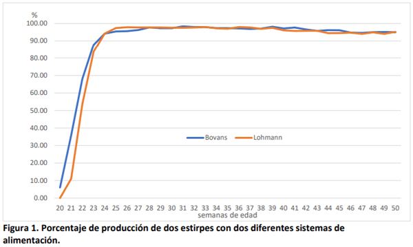 Respuesta productiva y económica de dos estirpes de ponedoras a dos sistemas de alimentación - Image 6