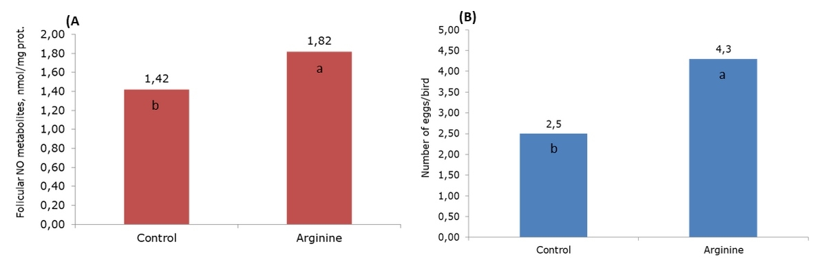 Importancia de la arginina en las aves reproductoras - Image 2