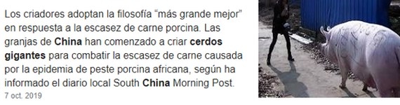 Sugerencias a los productores avicolas y porcinos en tiempo de COVID-19 - Image 2