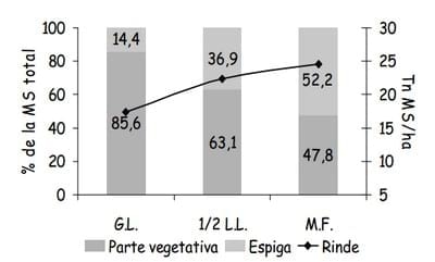 Ensilaje de maíz para optimizar la producción de leche y carne en el trópico. - Image 4