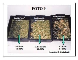 Ensilaje de maíz para optimizar la producción de leche y carne en el trópico. - Image 8