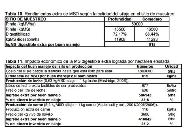 Ensilaje de maíz para optimizar la producción de leche y carne en el trópico. - Image 24