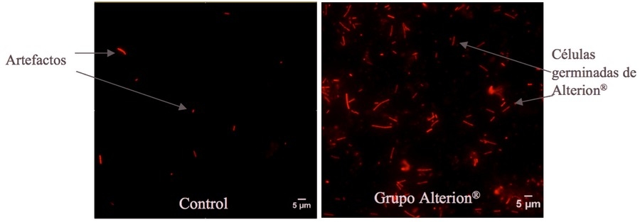 La germinación y la actividad de Alterion® son ahora visibles dentro de las aves - Image 6