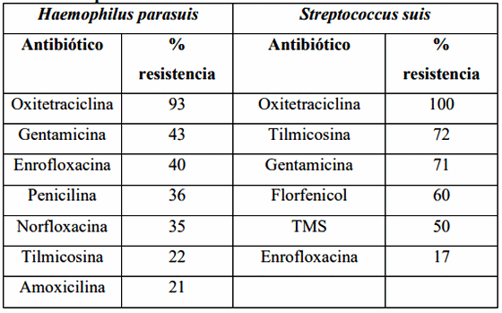 Enfermedades sistémicas en recría - Image 3