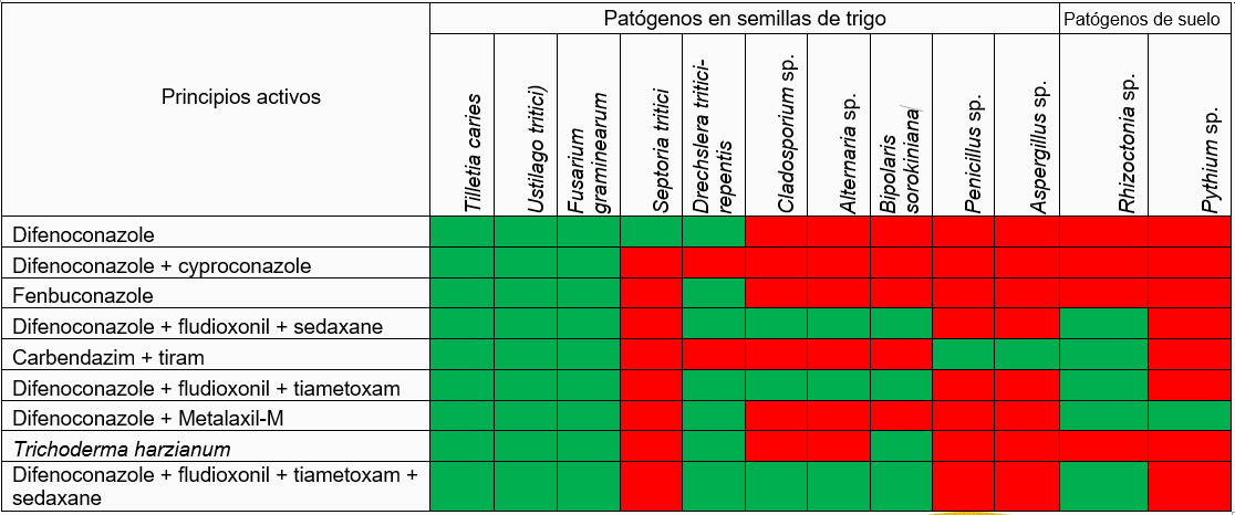 Sanidad en semillas de trigo (Triticum aestivum L.) - Image 2
