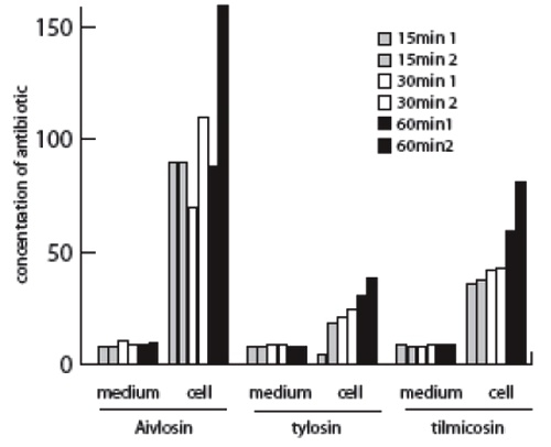 Mycoplasma gallisepticum y Mycoplasma synoviae - Image 2