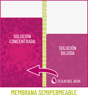 ¿Por qué Hipertónico y no Hipotónico? - Image 2