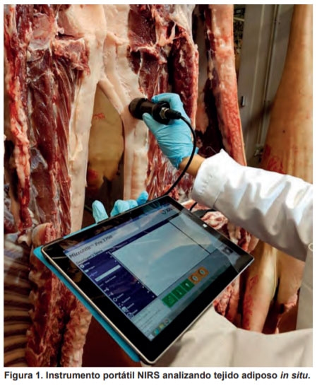 Espectroscopía de Infrarrojo Cercano para asegurar la integridad de jamón ibérico de bellota - Image 1