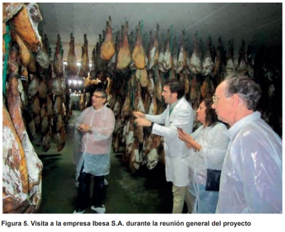 Espectroscopía de Infrarrojo Cercano para asegurar la integridad de jamón ibérico de bellota - Image 5