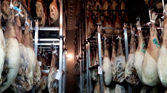 Microsensores NIRS y plataformas TIC para la autentificación de canales de cerdo ibérico a nivel de la línea de sacrificio - Image 1