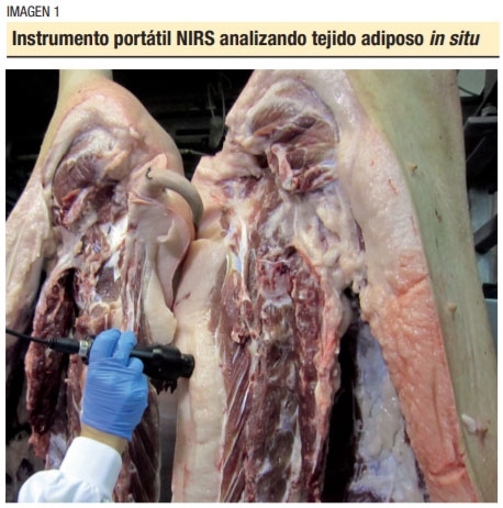 Microsensores NIRS y plataformas TIC para la autentificación de canales de cerdo ibérico a nivel de la línea de sacrificio - Image 2