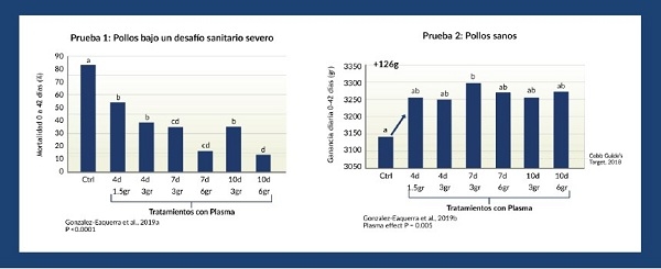 ¿Qué hemos aprendido sobre el uso de Plasma atomizado en las dietas de Broilers? - Image 2