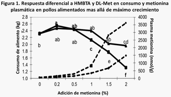 Consideraciones técnicas sobre la bioeficacia relativa entre dos fuentes de metionina - Image 1