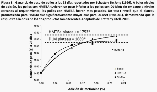 Consideraciones técnicas sobre la bioeficacia relativa entre dos fuentes de metionina - Image 3