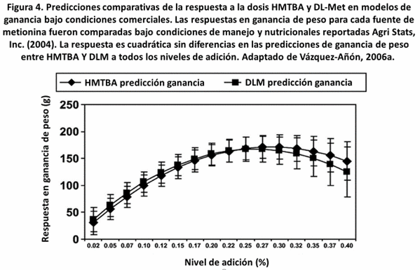 Consideraciones técnicas sobre la bioeficacia relativa entre dos fuentes de metionina - Image 4