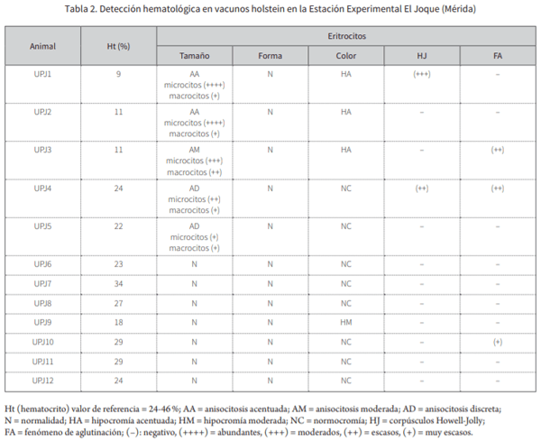 Confirmación microbiológica y evaluación hematológica para Anaplasma marginale y Babesia spp. en ganadería bovina de altura en los andes venezolanos* - Image 2