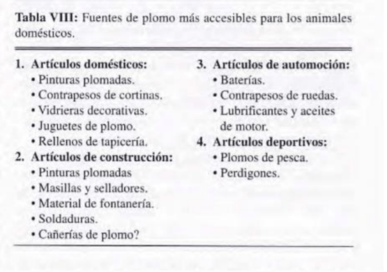 Intoxicación por plomo - Image 2