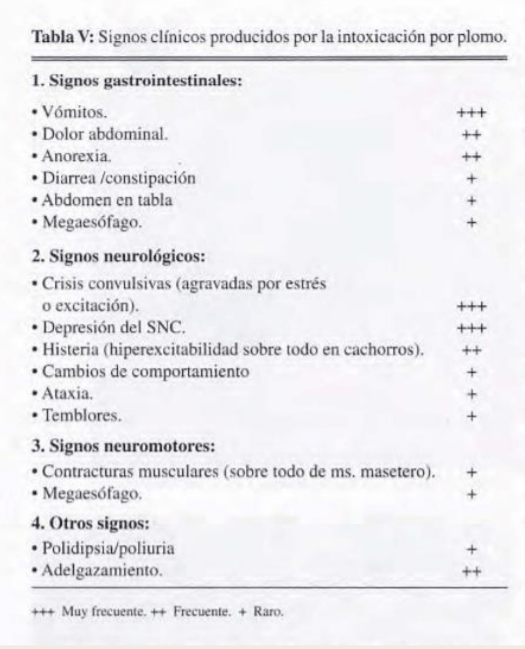 Intoxicación por plomo - Image 6