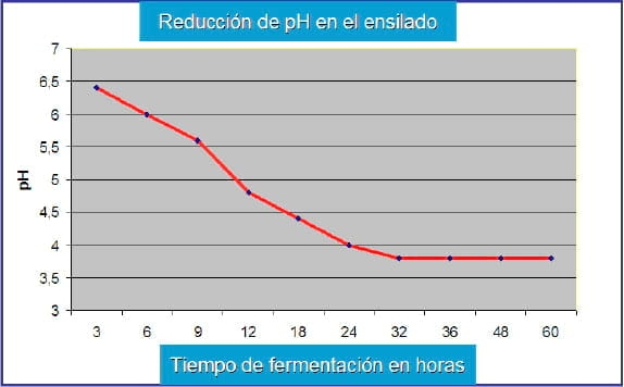 Inoculación en ensilajes y su importancia para una correcta conservación evitando el desarrollo de micotoxinas. - Image 2