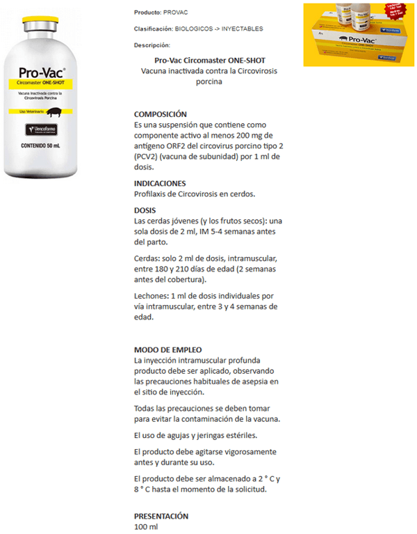 Circovirosis porcina, una de las patologías que causa más problemas sanitarios - Image 11