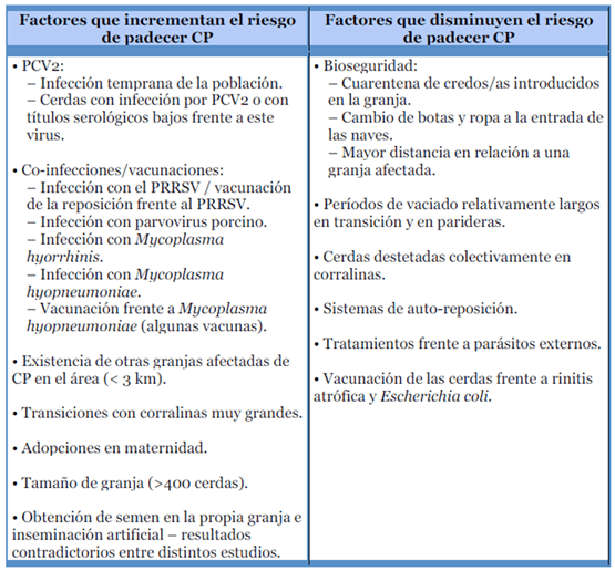 Circovirosis porcina, una de las patologías que causa más problemas sanitarios - Image 3