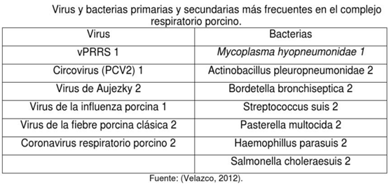 Complejo Respiratorio Porcino - Image 2