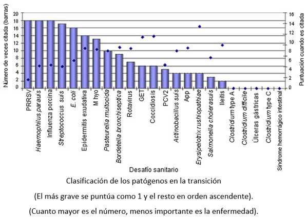 Complejo Respiratorio Porcino - Image 6