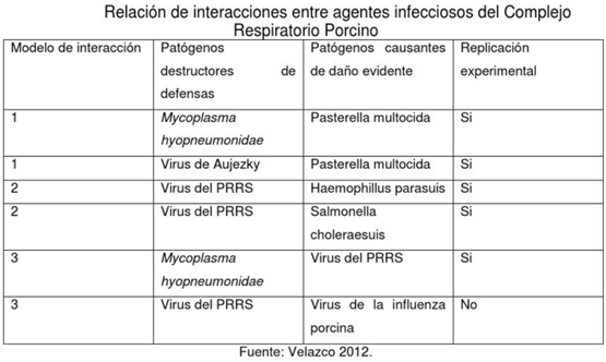 Complejo Respiratorio Porcino - Image 3