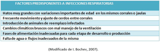Complejo Respiratorio Porcino - Image 1