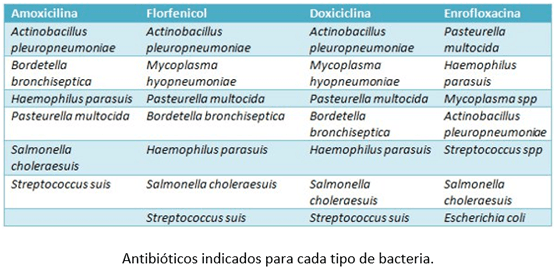 Complejo Respiratorio Porcino - Image 8