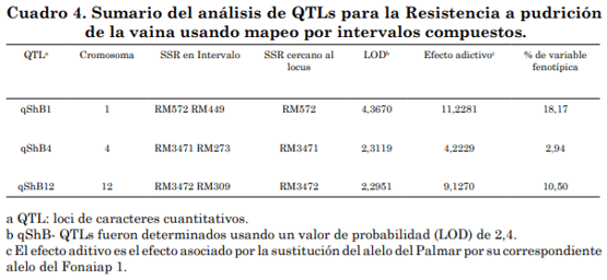 Identificación de marcadores SSR asociados a la resistencia de arroz a Rhizoctonia solani - Image 7