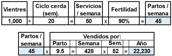 Falsos ahorros en las granjas. O cómo desbielar motores “ahorrando” en aceite. - Image 3