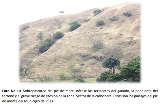 La gran problemática de la cuenca del Rio Vijes - Image 11