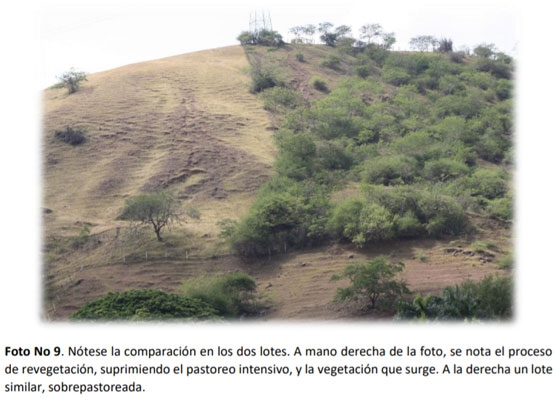 La gran problemática de la cuenca del Rio Vijes - Image 10