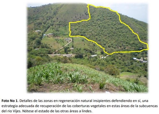 La gran problemática de la cuenca del Rio Vijes - Image 2