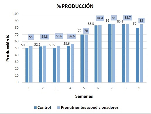Salud intestinal en gallinas ponedoras - Image 4