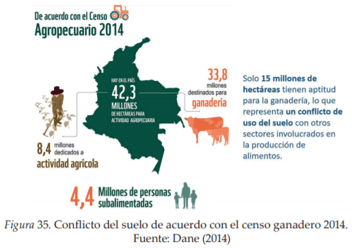 La Agroforestería como Escenario de Reconciliación, Sostenibilidad y Producción territorial - Image 10