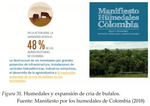 La Agroforestería como Escenario de Reconciliación, Sostenibilidad y Producción territorial - Image 6